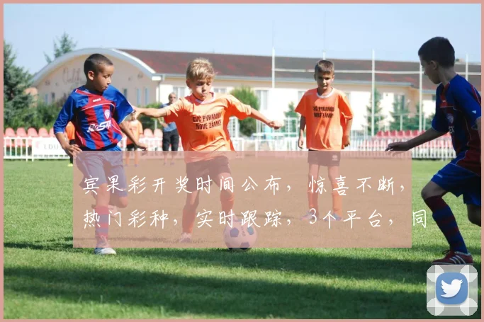 宾果彩开奖时间公布，惊喜不断，热门彩种，实时跟踪，3个平台，同步揭晓，不容错过