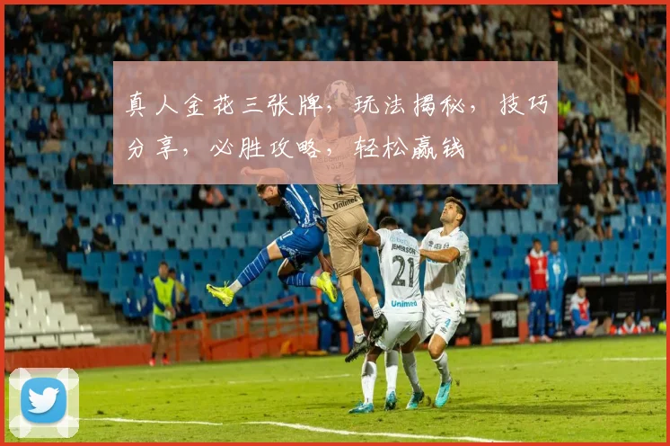 真人金花三张牌，玩法揭秘，技巧分享，必胜攻略，轻松赢钱