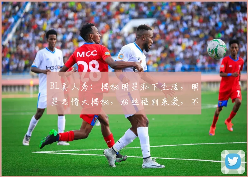 BL真人秀：揭秘明星私下生活，明星恋情大揭秘，粉丝福利来袭，不容错过